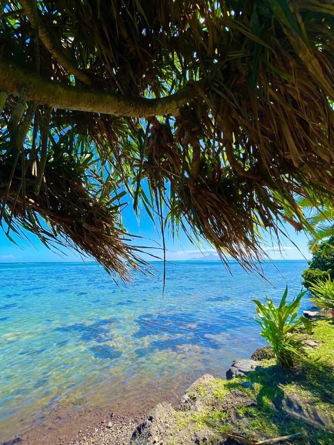 O'Coco Bungalow- Breathtaking Waterfront Views, Endless Memories Paea Esterno foto