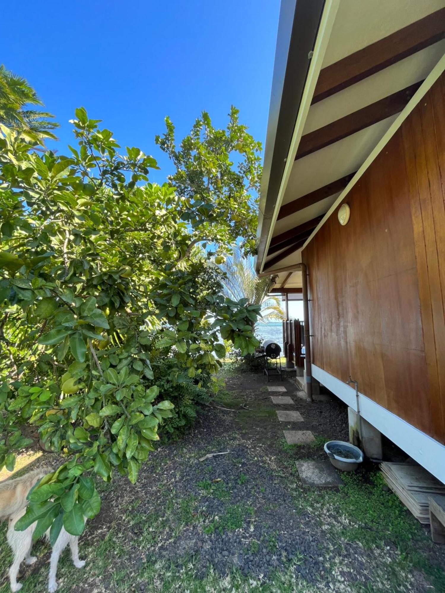 O'Coco Bungalow- Breathtaking Waterfront Views, Endless Memories Paea Esterno foto
