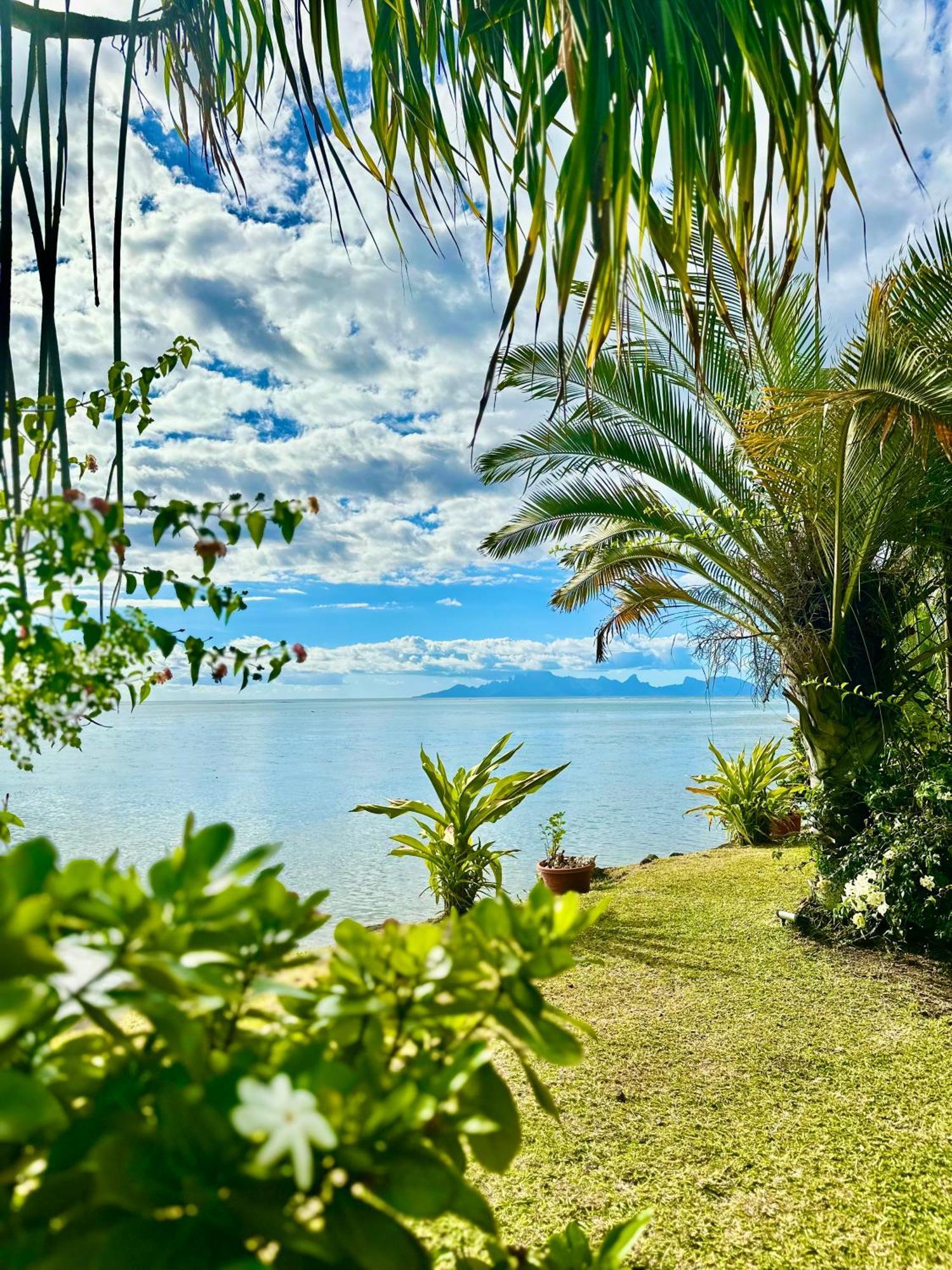 O'Coco Bungalow- Breathtaking Waterfront Views, Endless Memories Paea Esterno foto