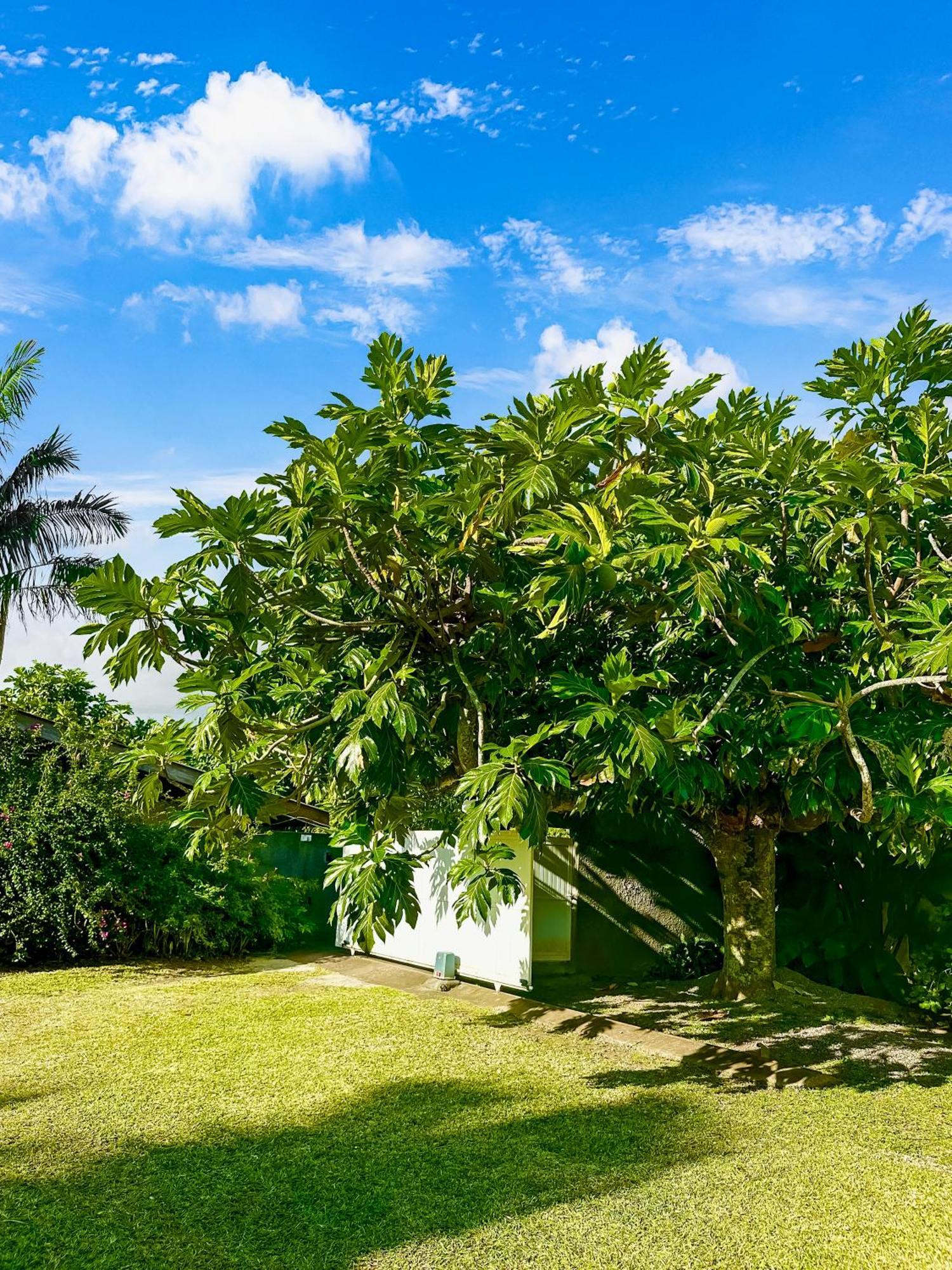 O'Coco Bungalow- Breathtaking Waterfront Views, Endless Memories Paea Esterno foto